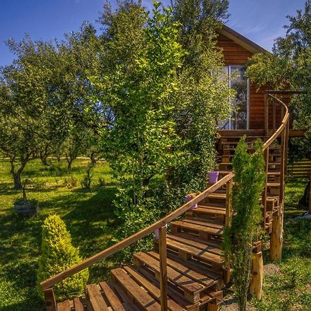 Hotel Fairytale Koukounariá Zewnętrze zdjęcie